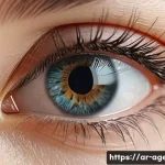 Home 8 농업환경기술자 시험일정 및 응시 조건 관련 이미지 1